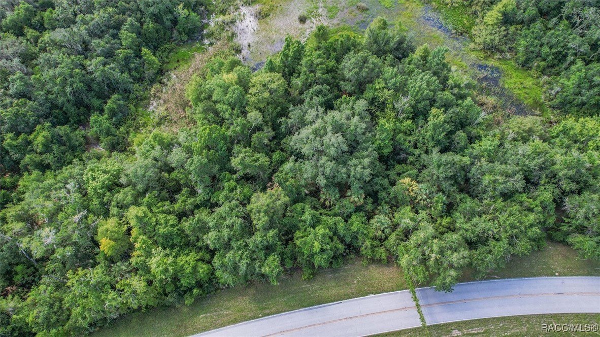 Floral City, Florida, 34436, United States, ,Residential,For Sale,1900732
