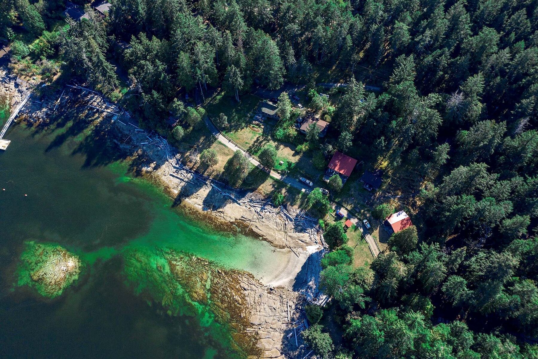  Stunning Waterfront Property - 物件實景