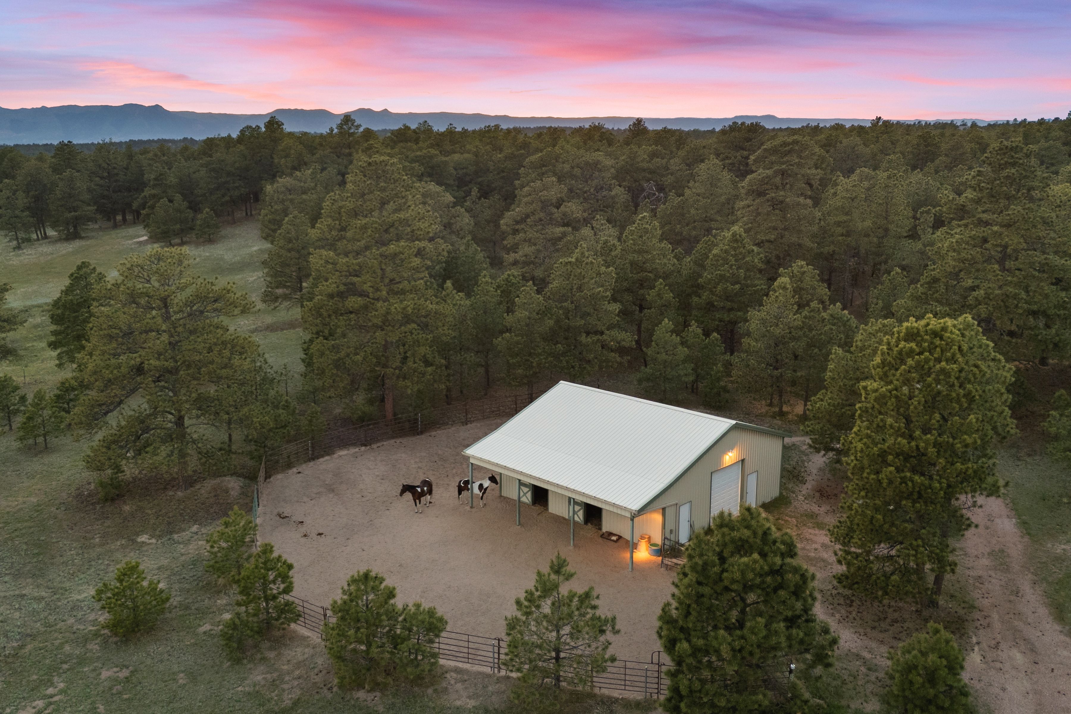  Rare and unique south Black Forest estate nestled on 37 acres - 物件實景