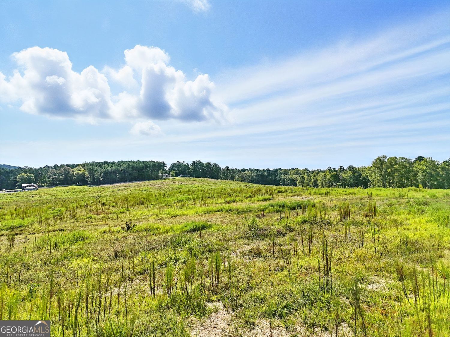 Kingston, Georgia, 30145, United States, ,Land,For Sale,1912836