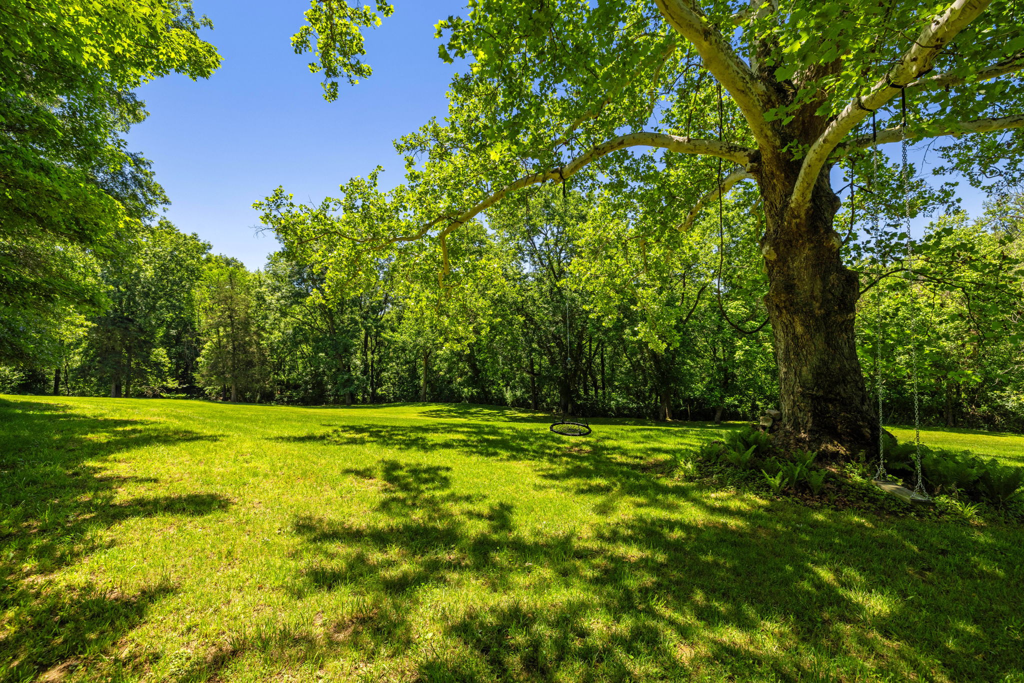  16318 Canal Road, Sharpsburg, MD 21782 - 物件實景