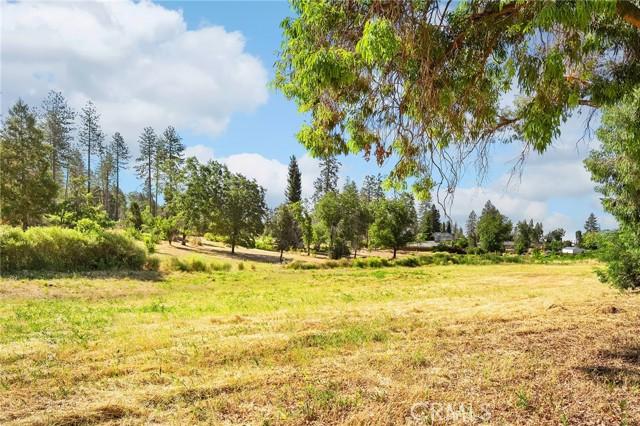 Paradise, California, 95969, United States, ,Land,For Sale,1981444