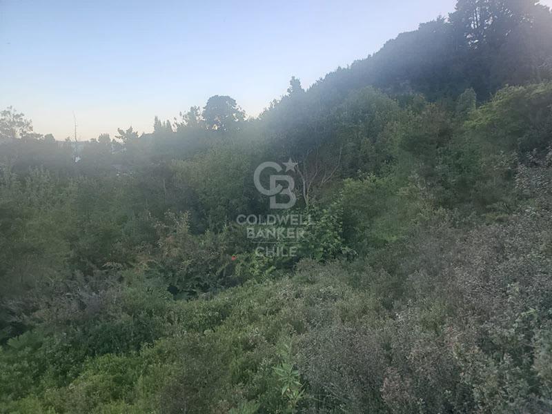 Puerto Montt, Chile, ,Land,For Sale,1993080