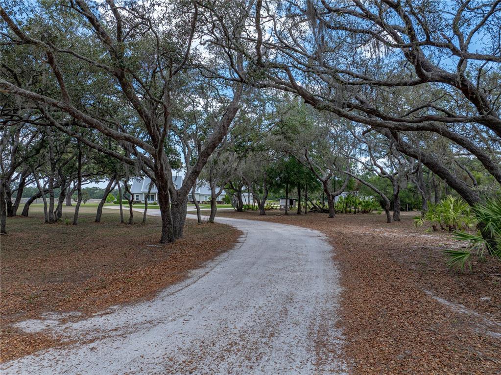 Lake Wales, Florida, 33898, United States, 3 Bedrooms Bedrooms, ,3 BathroomsBathrooms,Residential,For Sale,1793188