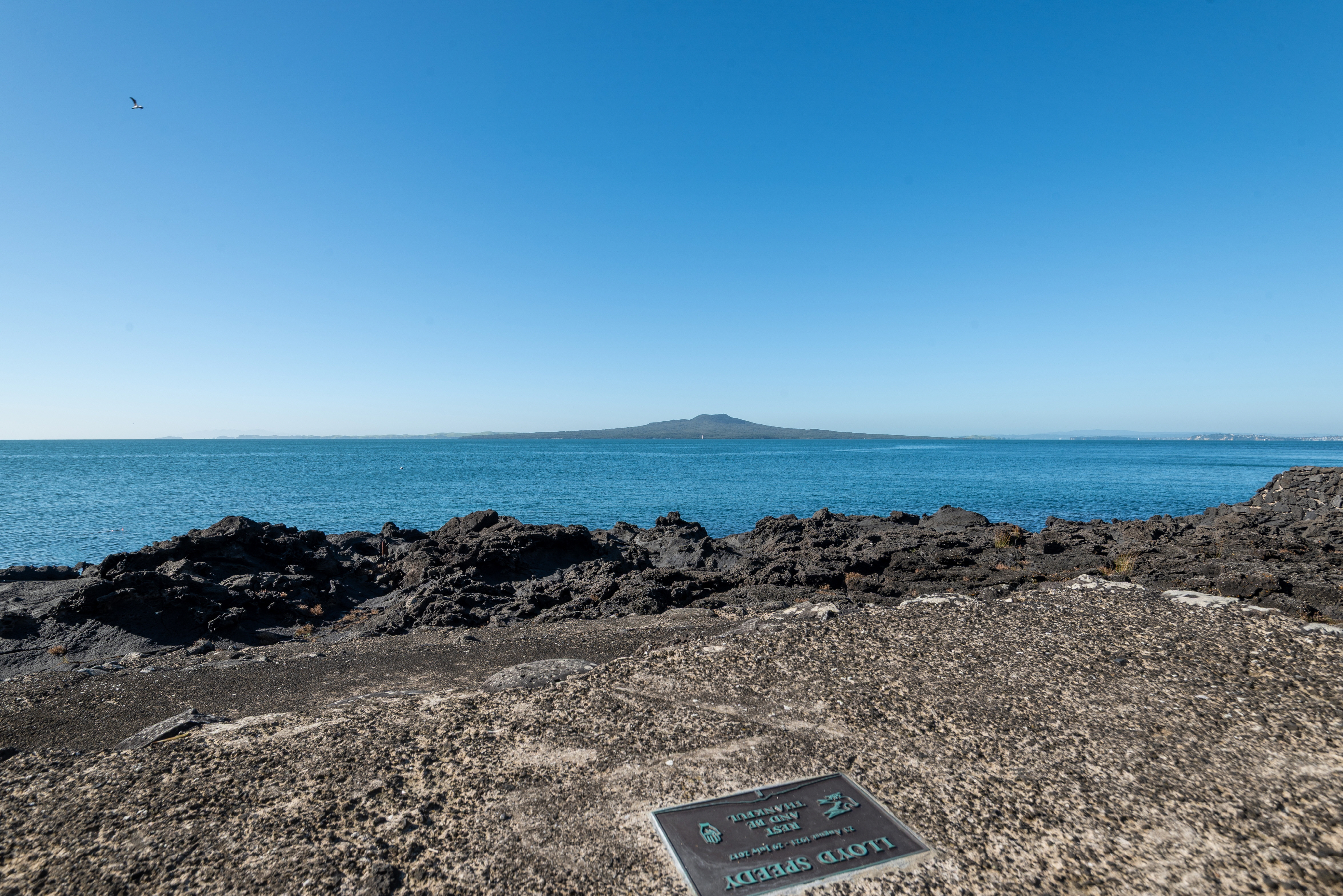  261 Hurstmere Road, Takapuna - 物件實景