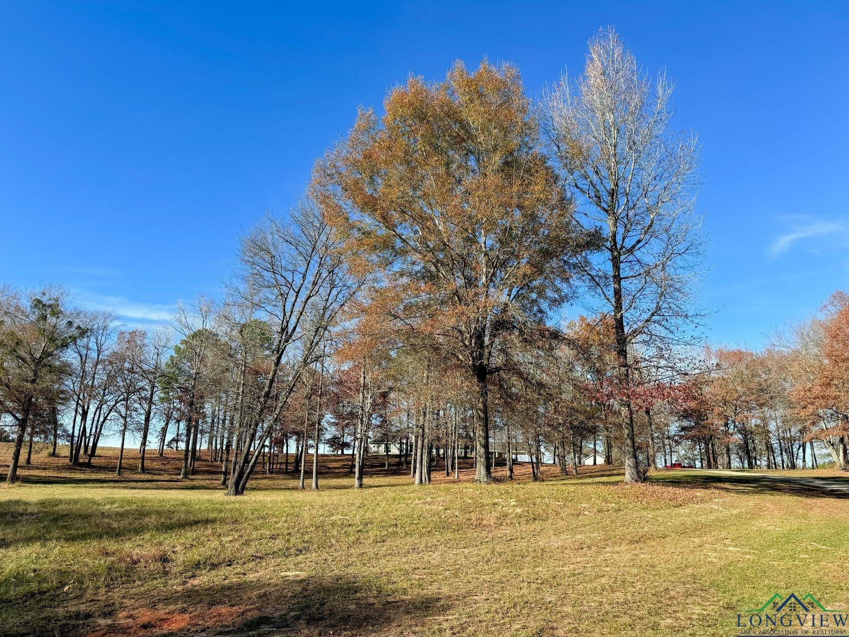 Bivins, Texas, 75555, United States, 3 Bedrooms Bedrooms, ,3 BathroomsBathrooms,Residential,For Sale,1873299