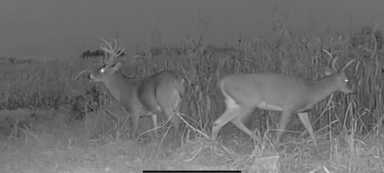 Kirksville, Missouri, 63501, United States, ,Land,For Sale,2006170