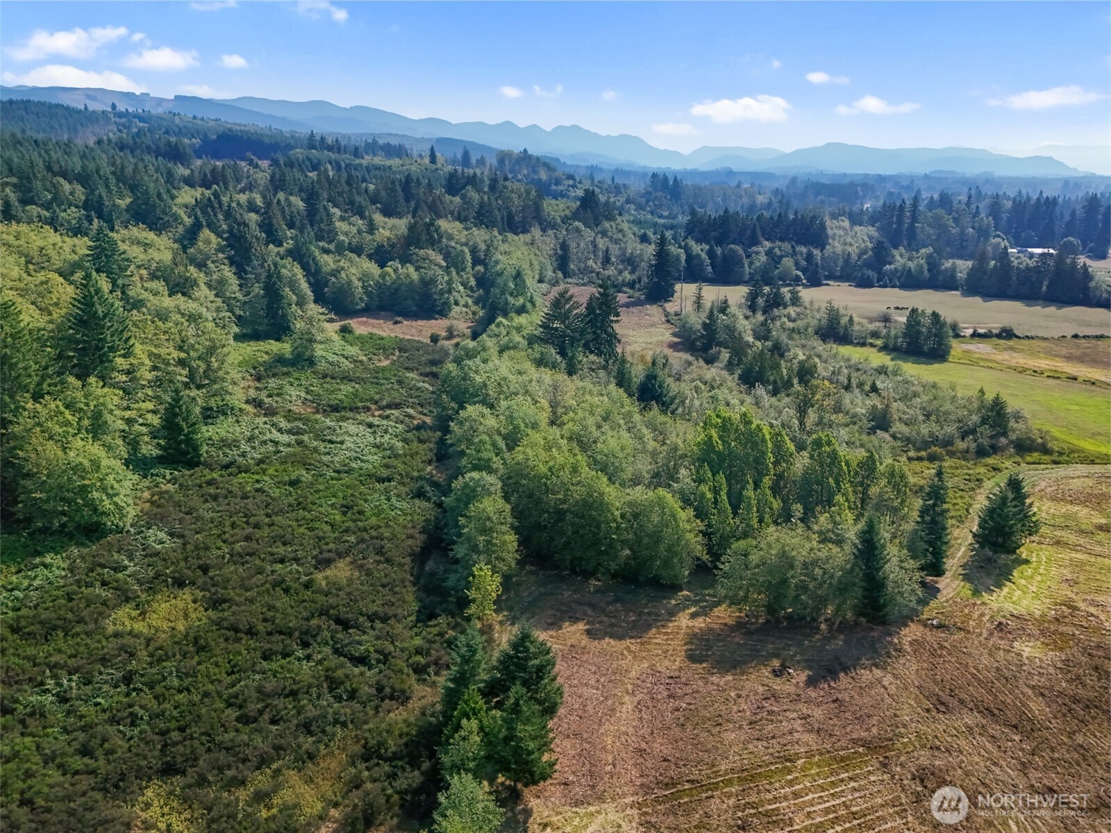 Onalaska, Washington, 98570, United States, ,Land,For Sale,1994245