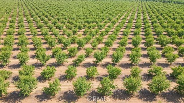 Le Grand, California, 95333, United States, ,Land,For Sale,1981575