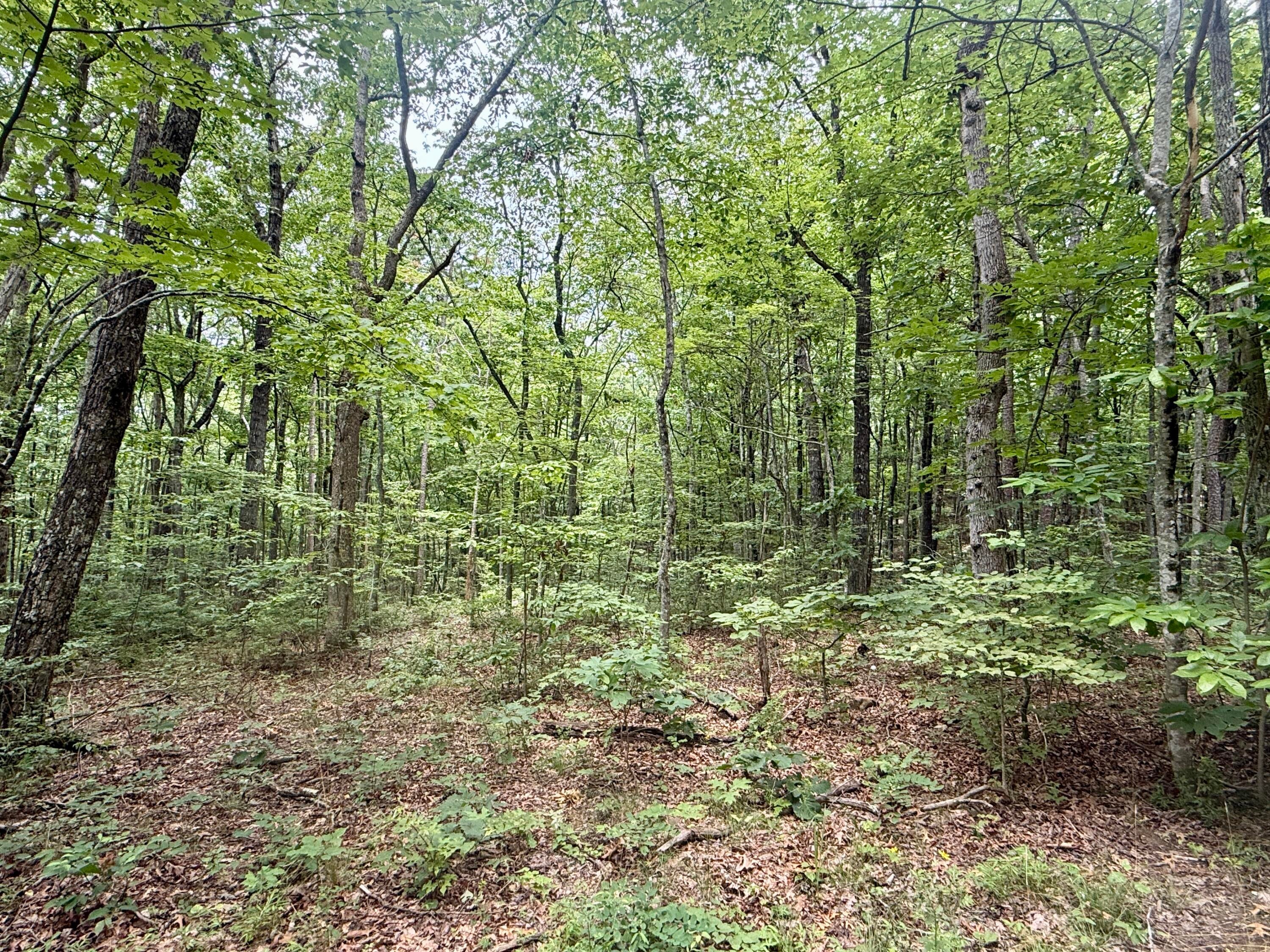 Dunlap, Tennessee, 37327, United States, ,Land,For Sale,1877286