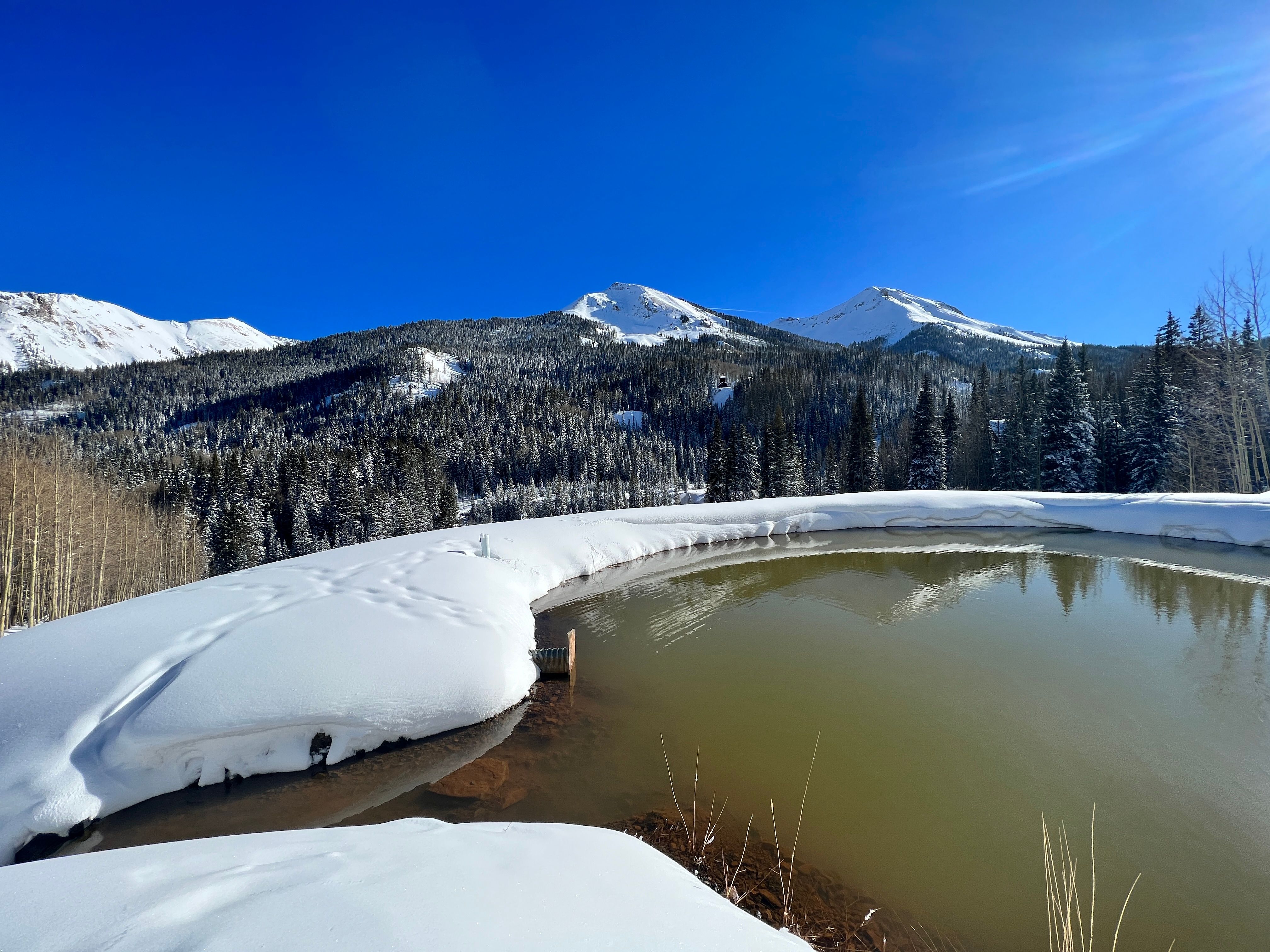  Alpine Estate with Acreage between Ouray and Silverton - 物件實景
