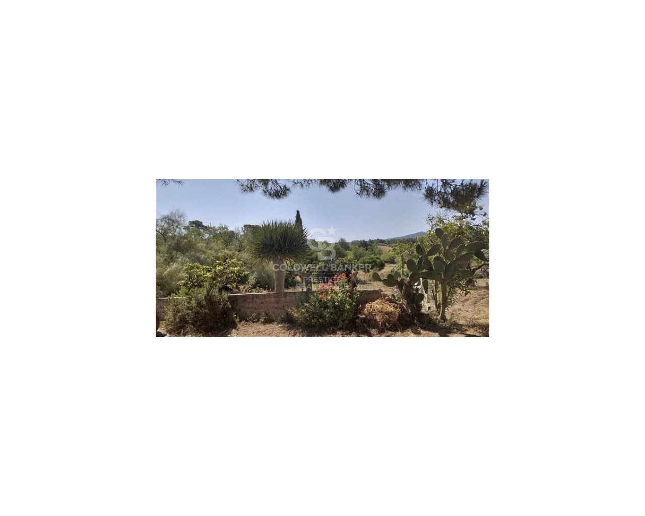 Mallorca, Art?, Art? Mallorca, Art?, Art? Mallorca, Artà, Balearic Islands, 07570, ES, 5 Bedrooms Bedrooms, ,2 BathroomsBathrooms,Residential,For Sale,Mallorca, Art?, Art? Mallorca, Art?, Art? Mallorca,1623997