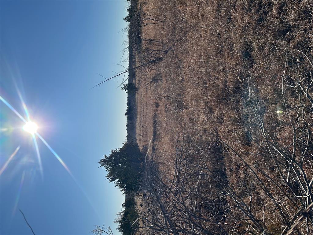 Meridian, Oklahoma, 73058, United States, ,Land,For Sale,2009056