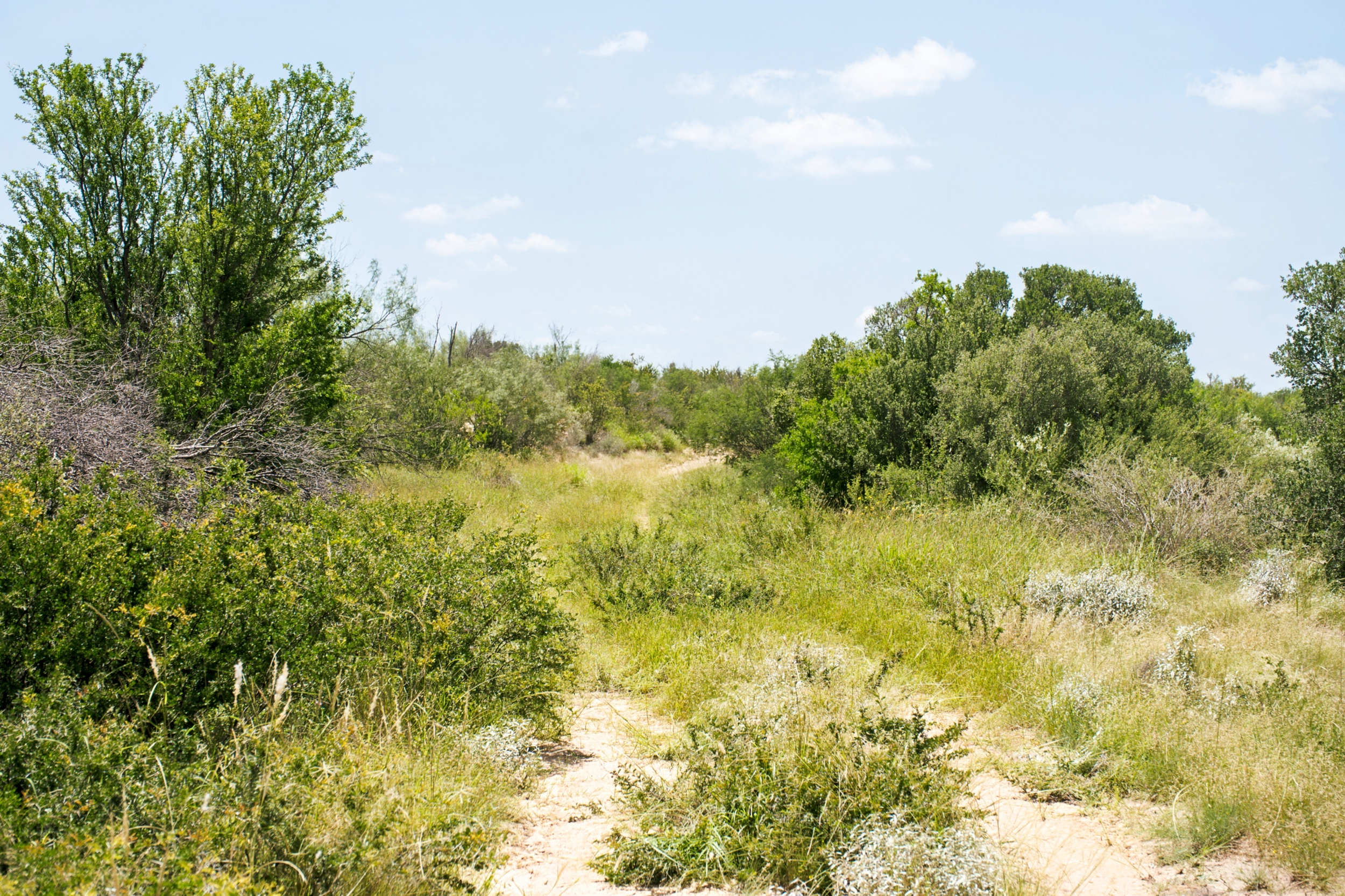  3,640+/- Acre Rosita Lake Ranch - 物件實景