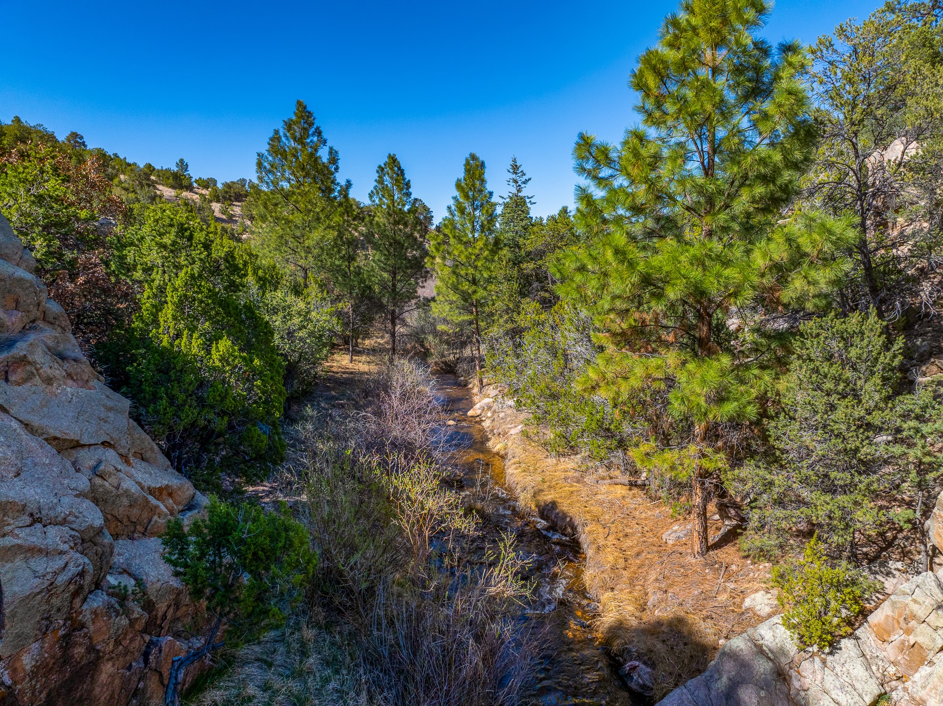  5.9 Acre Lot Camino Del Canon - 物件實景