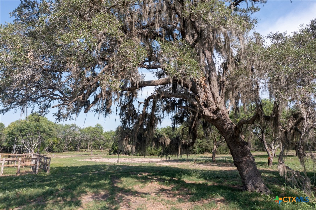 Yorktown, Texas, 78164, United States, ,Land,For Sale,1858167