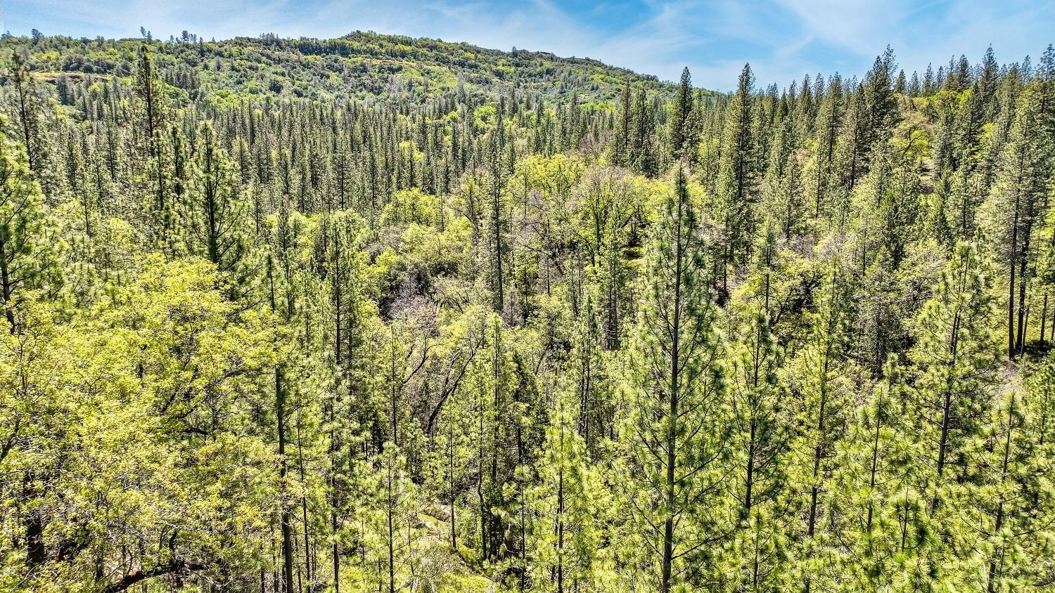 Mountain Ranch, California, 95246, United States, 1 Bedroom Bedrooms, ,1 BathroomBathrooms,Residential,For Sale,1921601