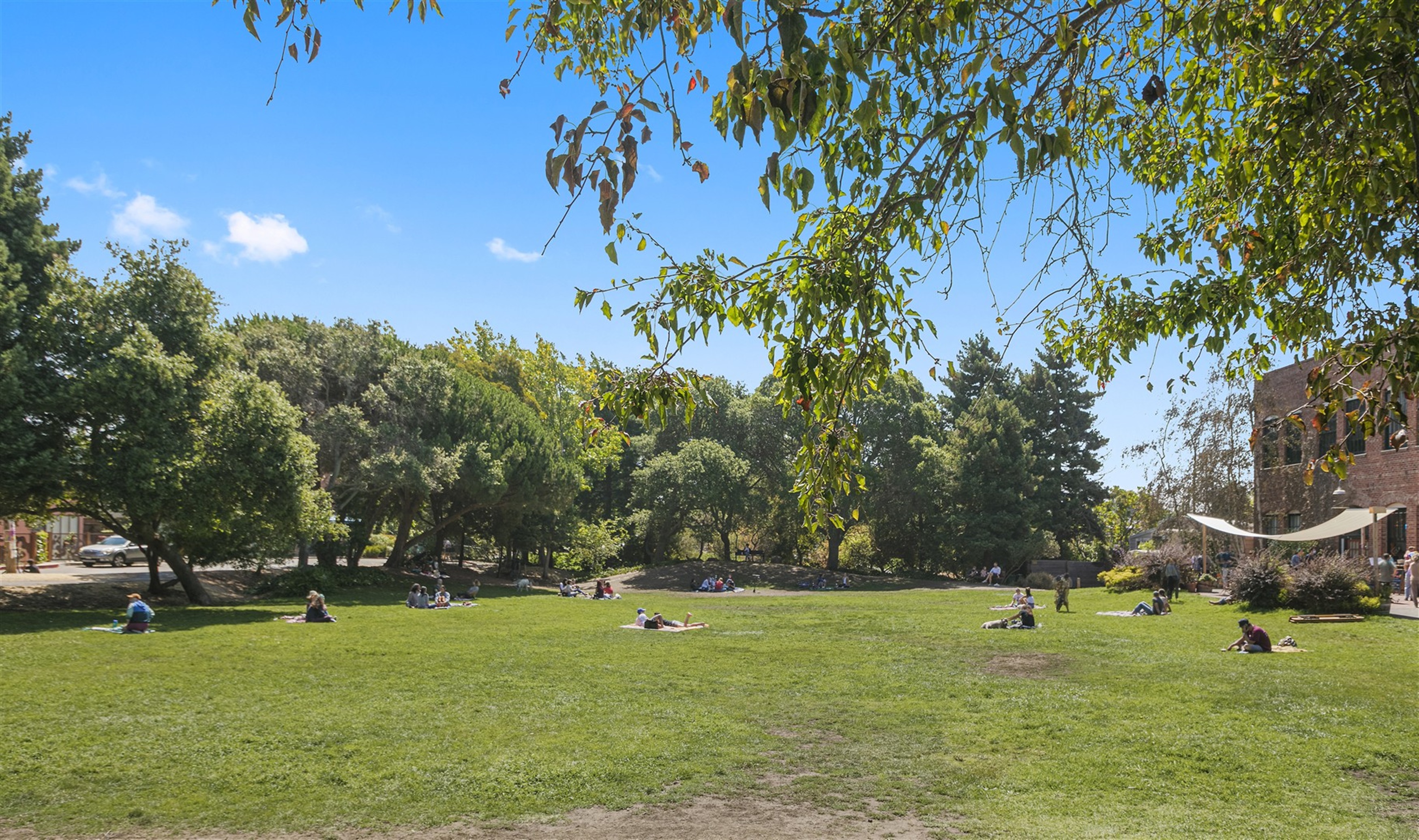  Rare Berkeley Investment Opportunity with Strong Income Potential - 物件實景