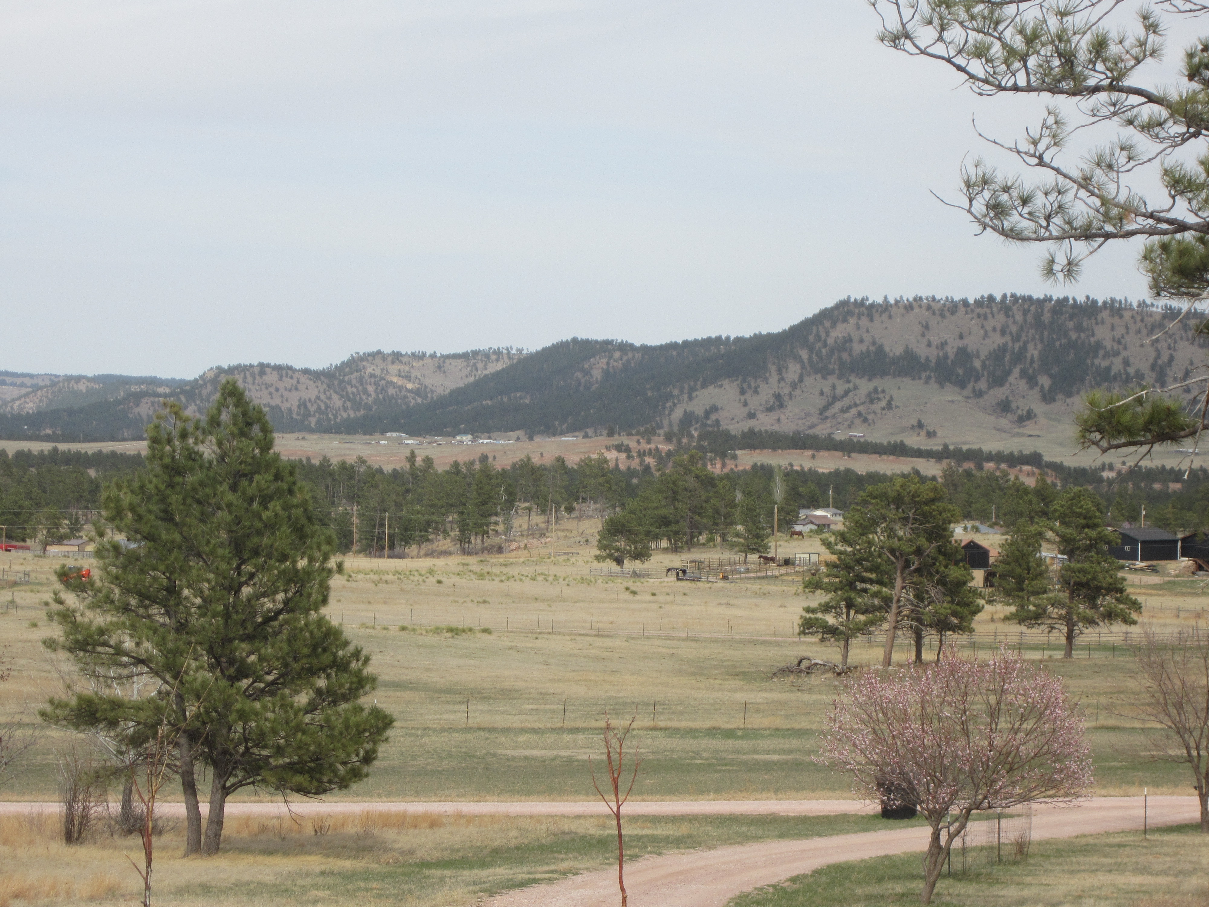 Hot Springs, South Dakota, 57747, United States, 3 Bedrooms Bedrooms, ,2 BathroomsBathrooms,Residential,For Sale,1993817