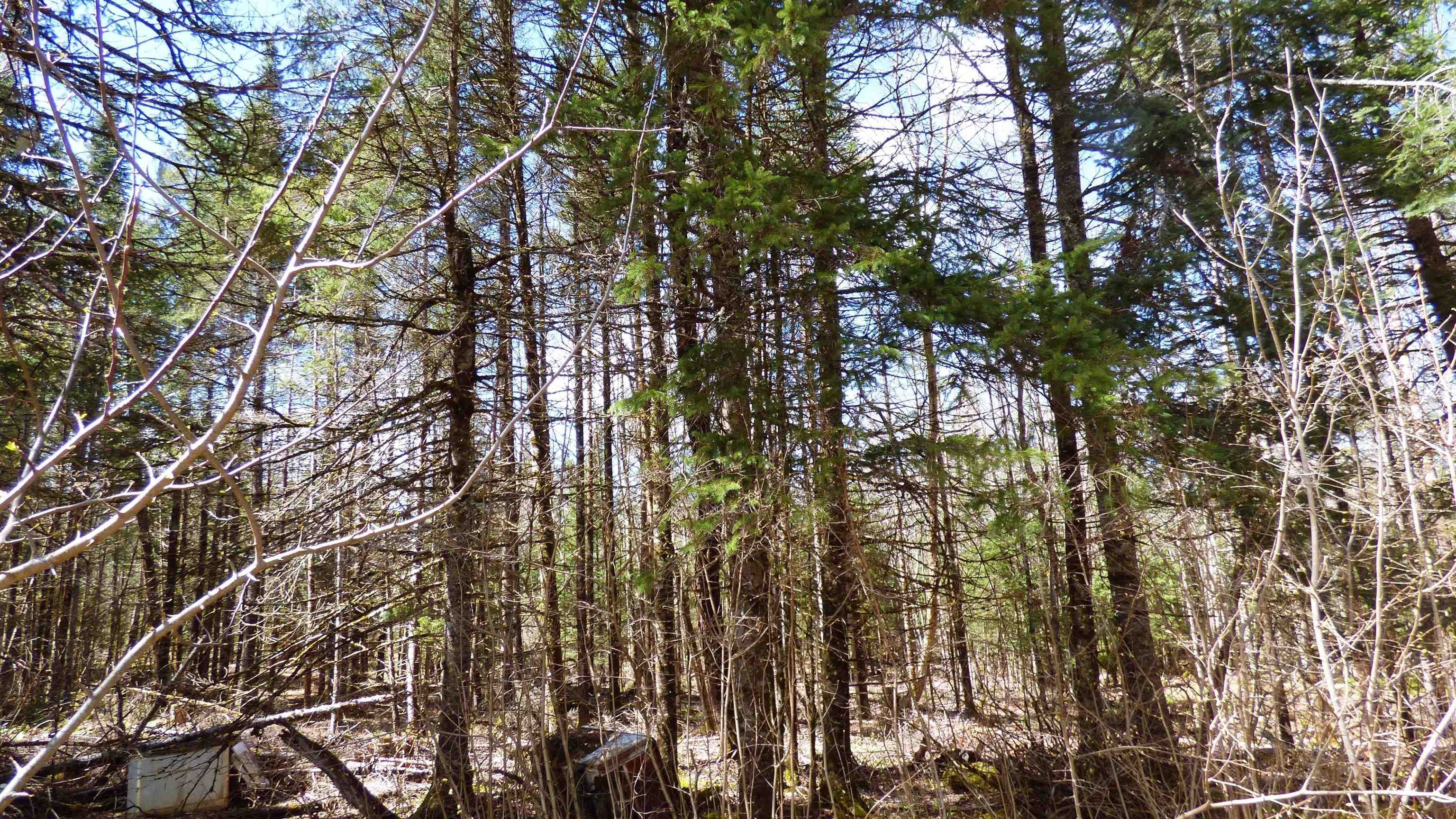 Wheelock, Vermont, 05851, United States, ,Land,For Sale,2017669