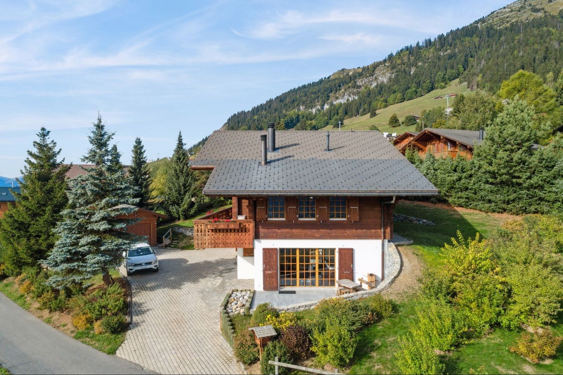  Chalet with home cinema / indoor jacuzzi / panoramic view - 物件實景