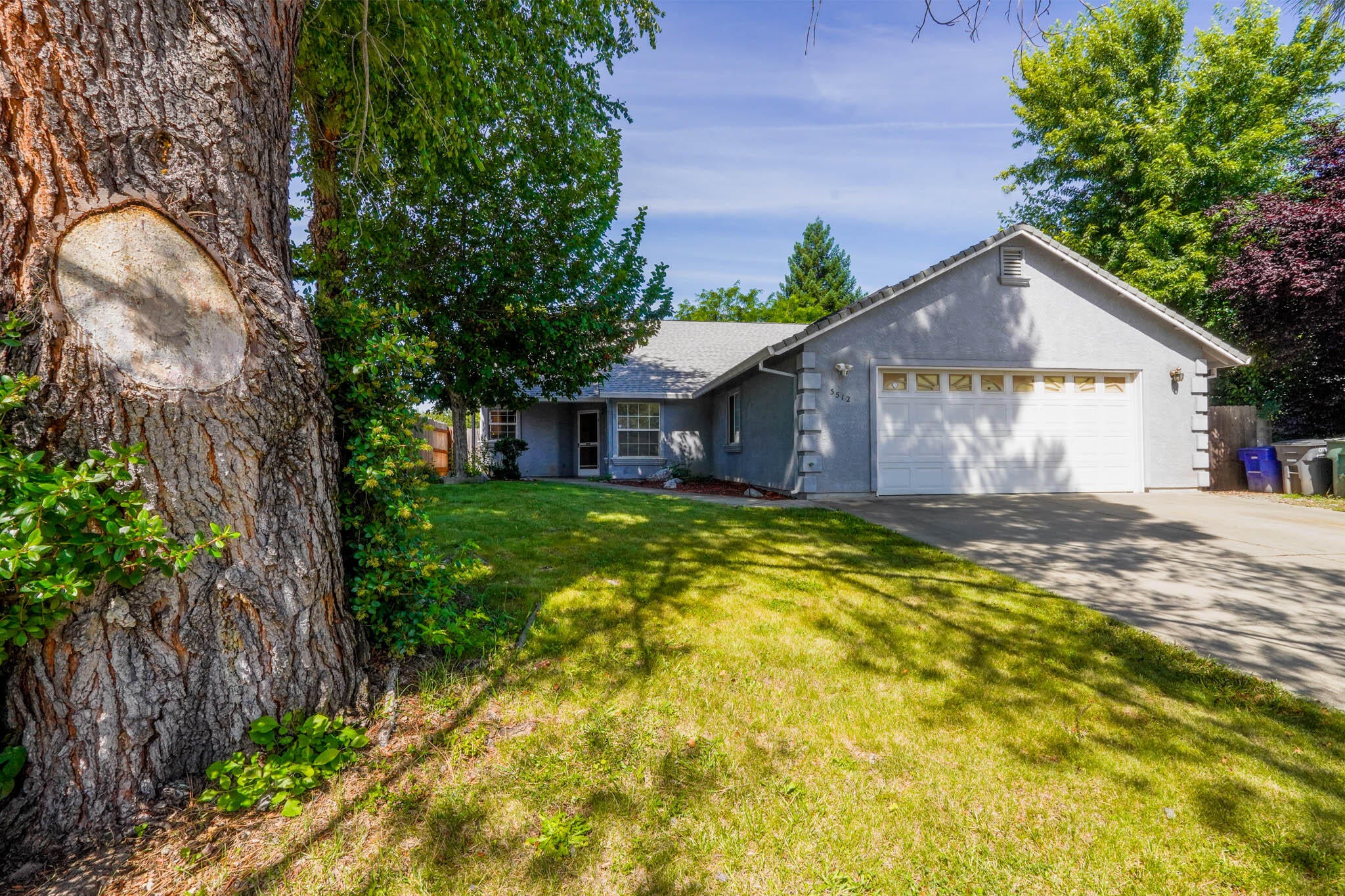 Mill Pond Ln, Redding, CA 96001 #1