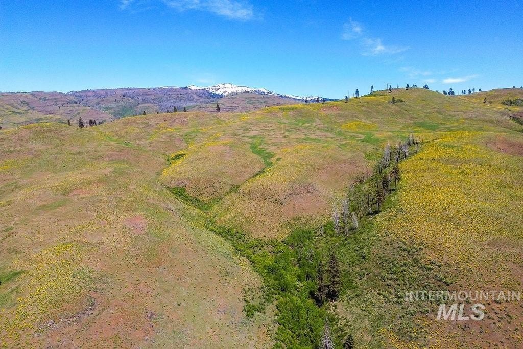 Council, Idaho, 83612, United States, ,Residential,For Sale,1862004