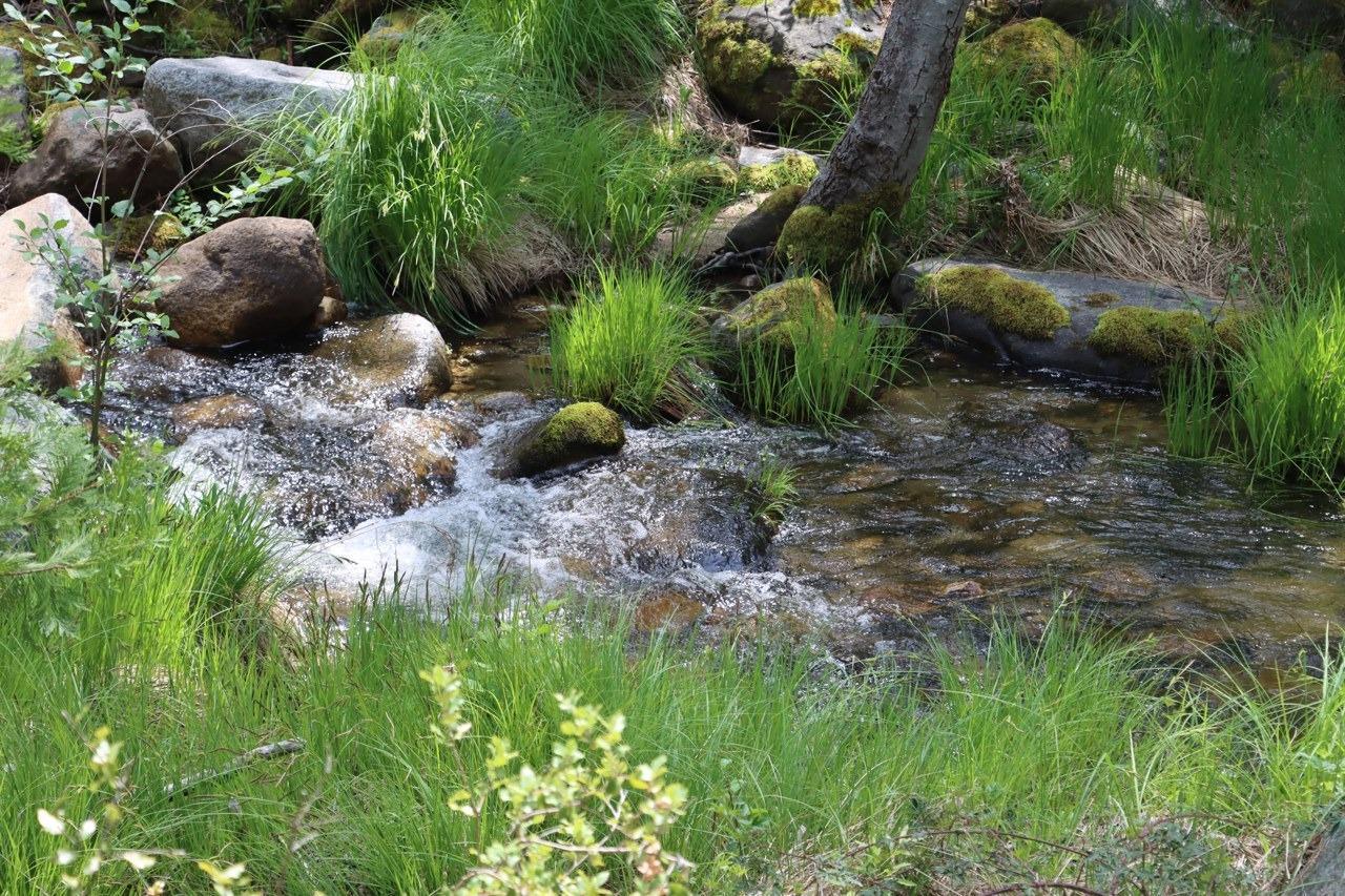 Mariposa, California, 95338, United States, 3 Bedrooms Bedrooms, ,3 BathroomsBathrooms,Residential,For Sale,1988847