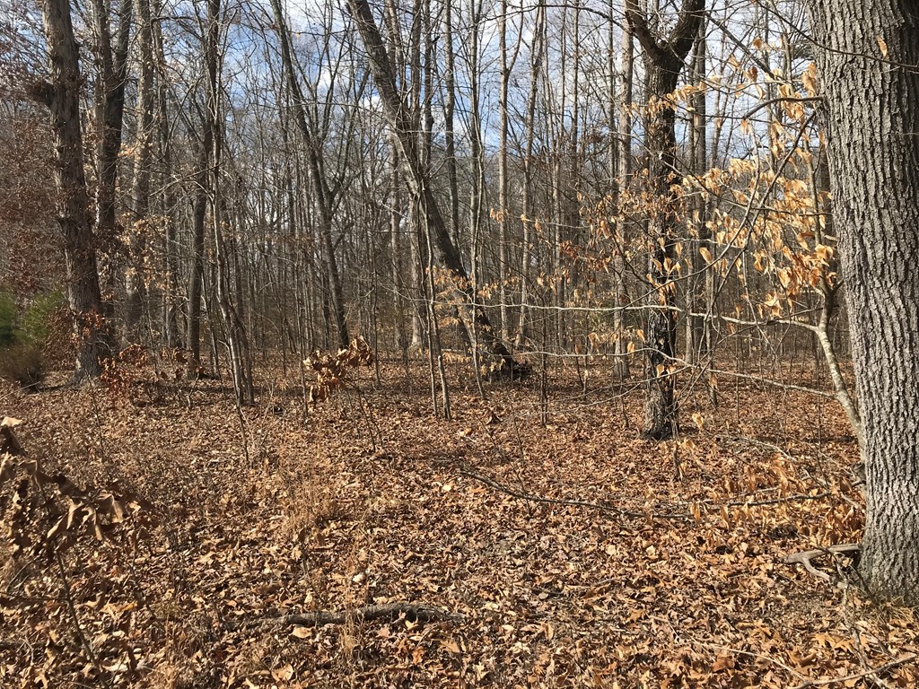 White Pine, Tennessee, 37890, United States, ,Residential,For Sale,1887225