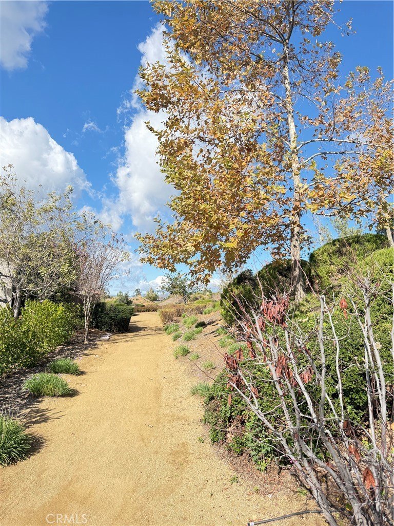 Calimesa, California, 92320, United States, 5 Bedrooms Bedrooms, ,3 BathroomsBathrooms,Residential,For Sale,2005696