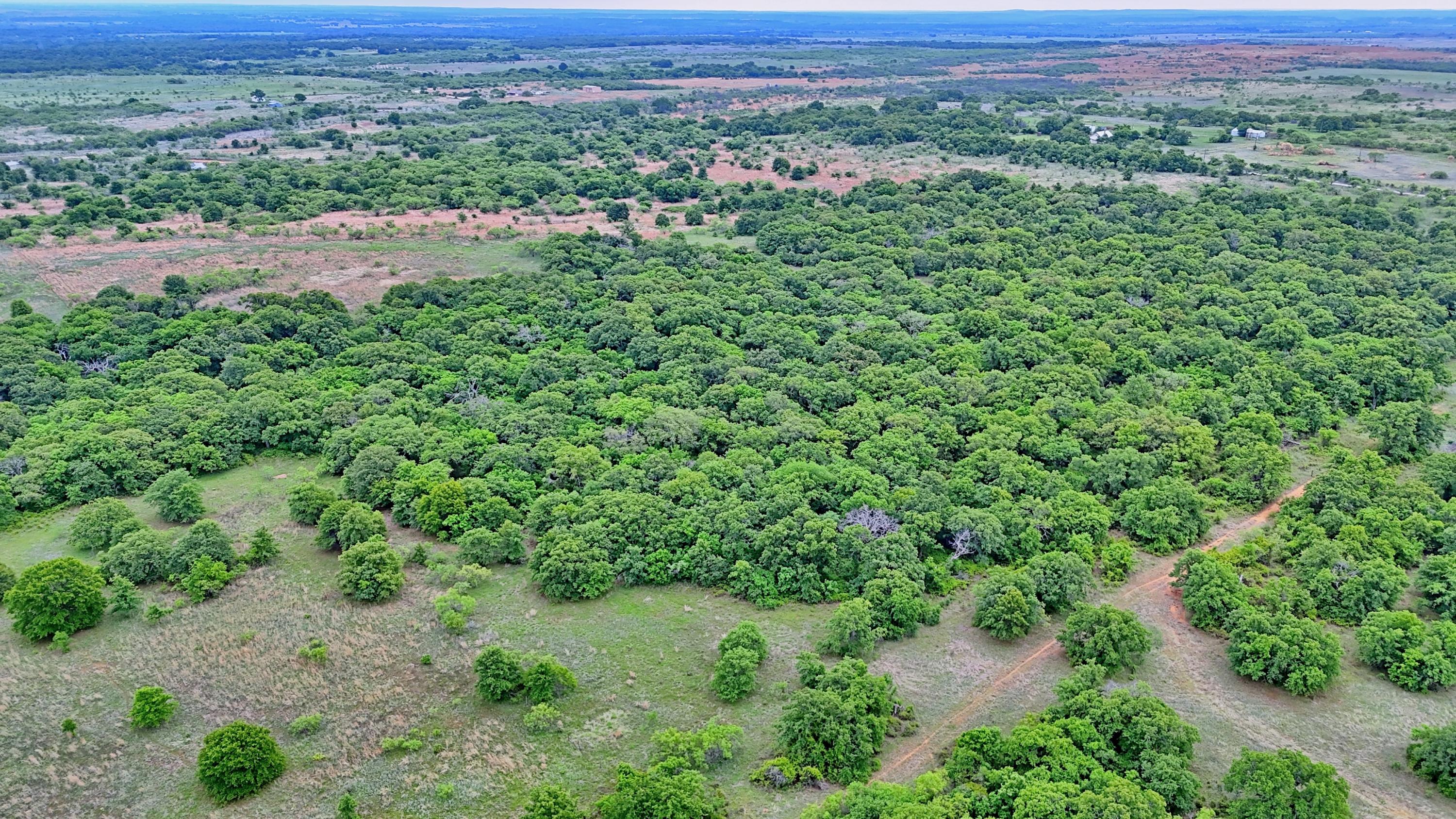  95 Acres in Clay County - 物件實景