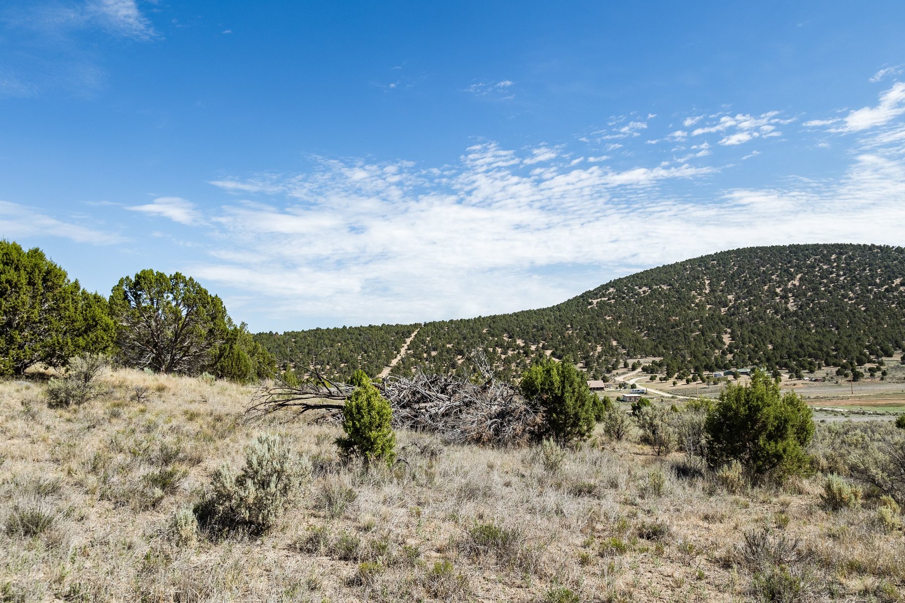  Mountain Living  STR Approved  1.01 Acres - 物件實景