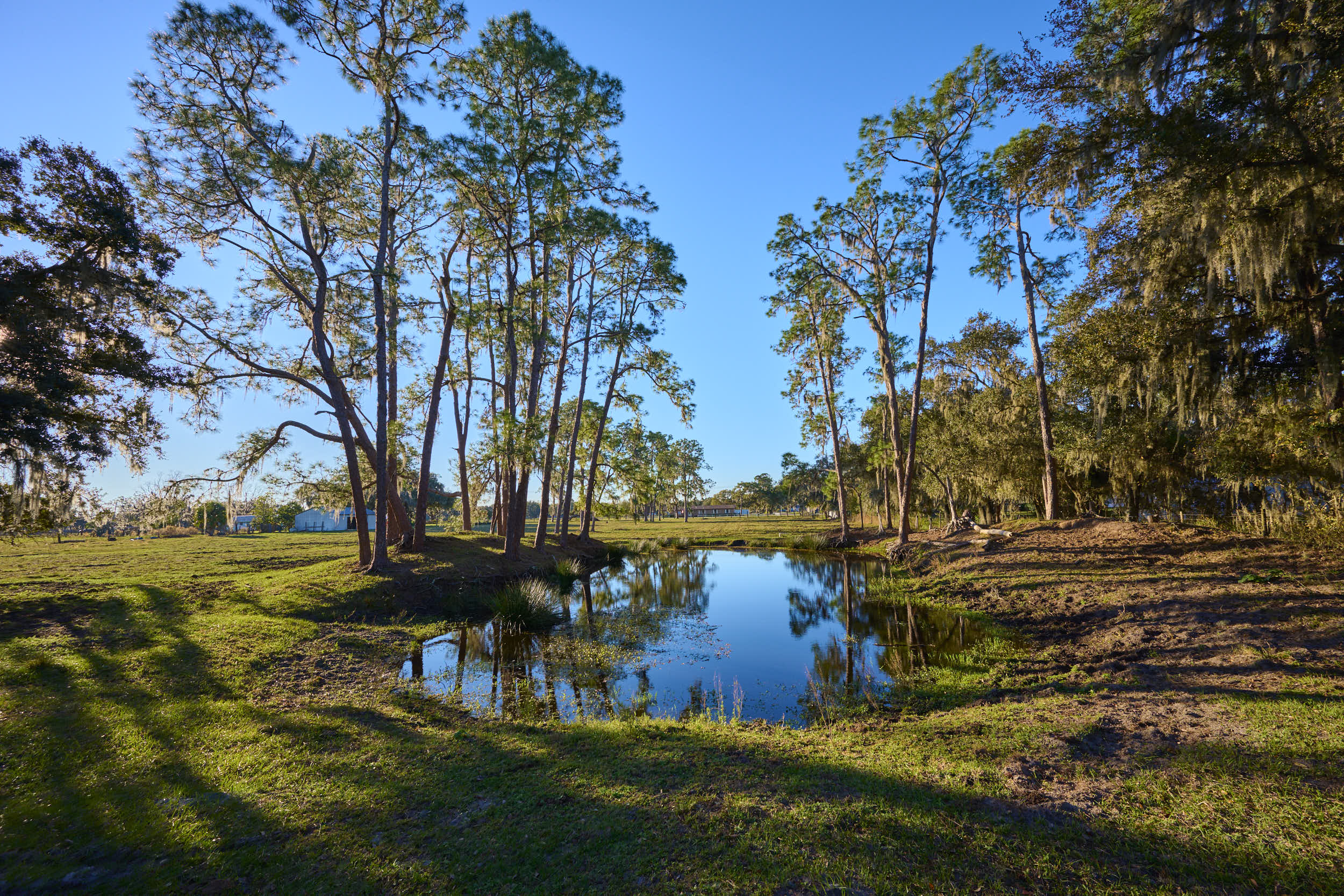 BARTOW, Florida, 33830, United States, 3 Bedrooms Bedrooms, ,2 BathroomsBathrooms,Residential,For Sale,1915491