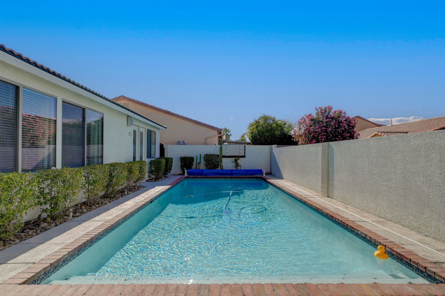  Summer Ready Single Story with Solar Heated Salt Water Pool - 物件實景