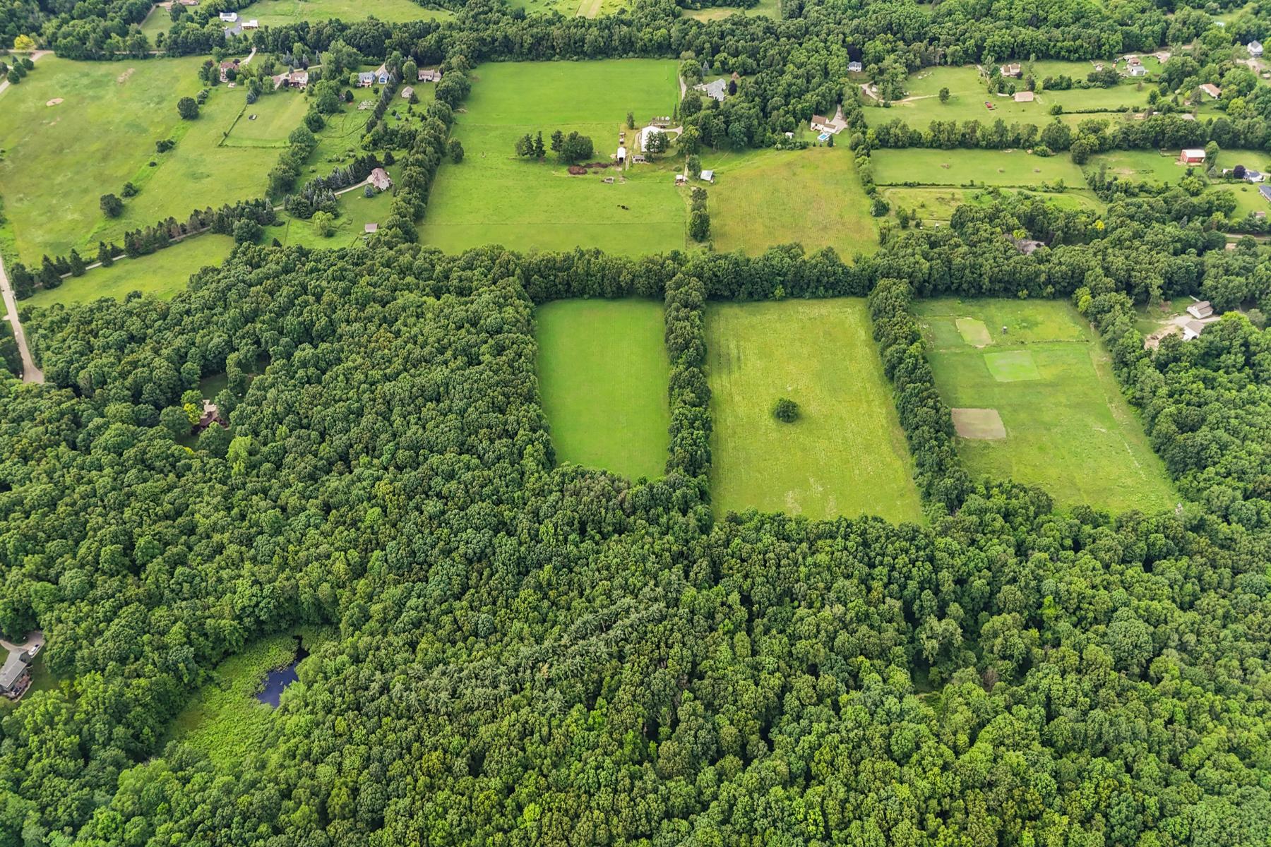  Groveland Township - 物件實景
