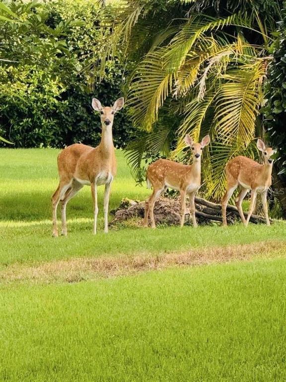 Parrish, Florida, 34219, United States, 4 Bedrooms Bedrooms, ,4 BathroomsBathrooms,Residential,For Sale,1960879