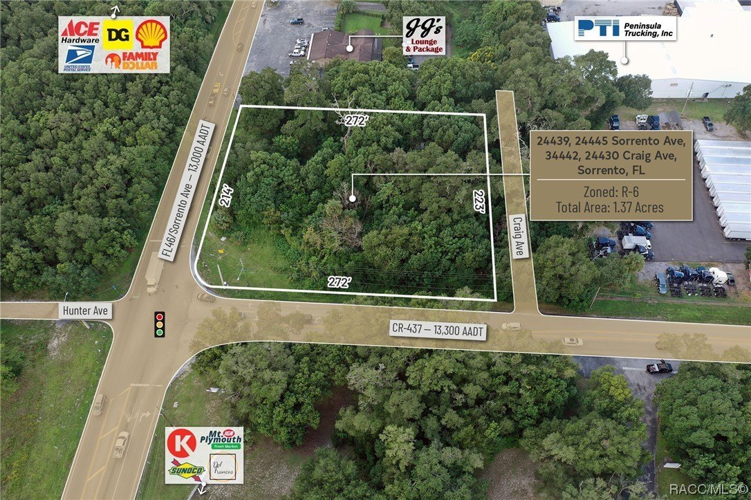 24439 Sorrento Avenue, Mount Dora, Florida, 32776, United States, ,Residential,For Sale,24439 Sorrento Avenue,1348352