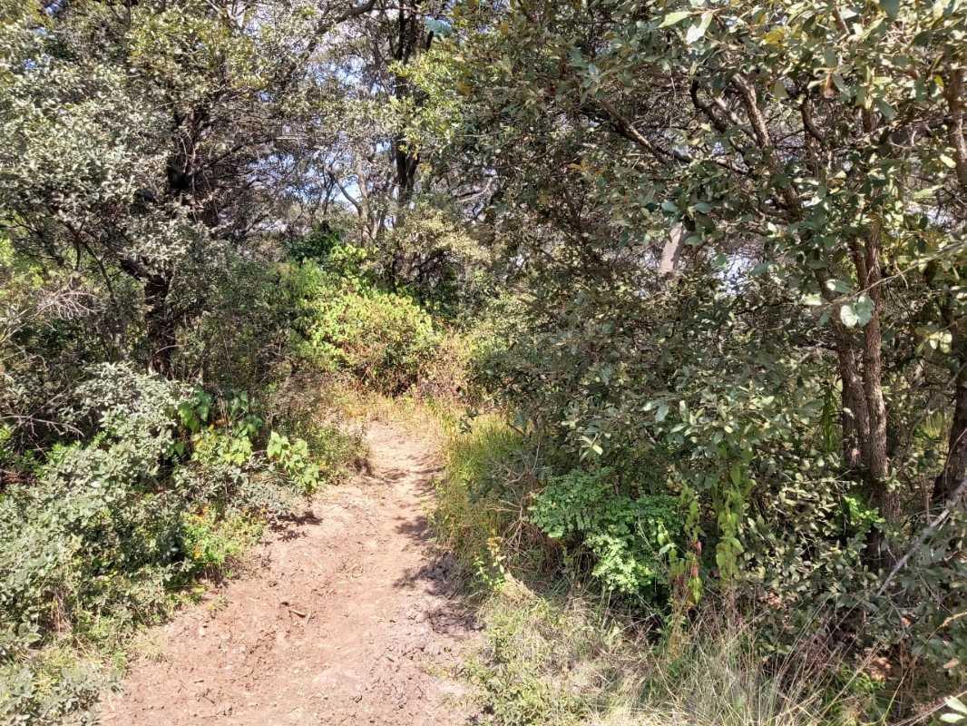 San Luis Retorno El Mirador, Atizapán de Zaragoza, Estado de México, 52938, Mexico, 1 Bedroom Bedrooms, ,Residential,For Sale,San Luis Retorno El Mirador,1616222