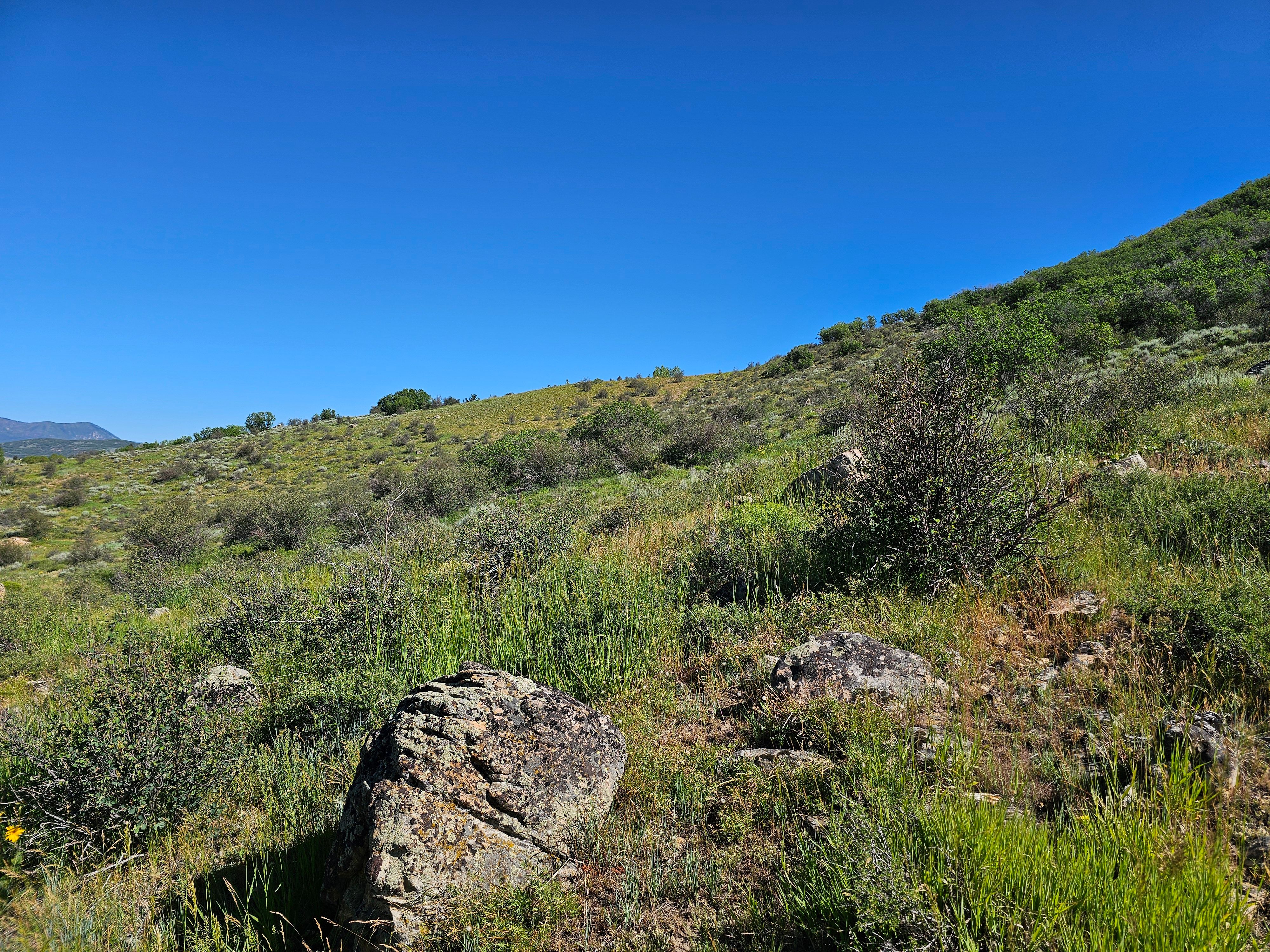 1327 Indian Trail, Steamboat Springs, CO, 80487 - 物件實景