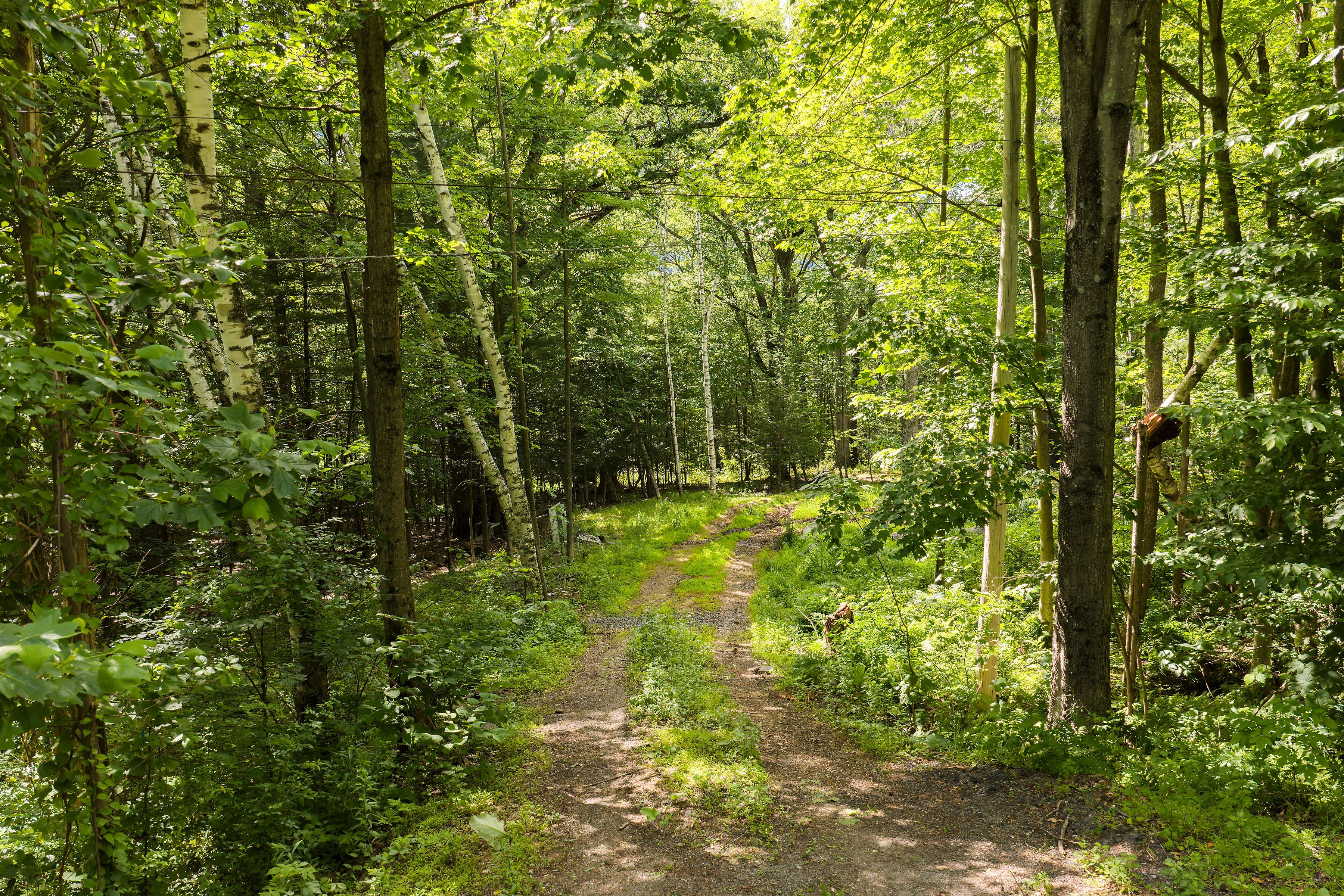  35 Mountain Valley Road, Boiceville, NY, 12412 - 物件實景