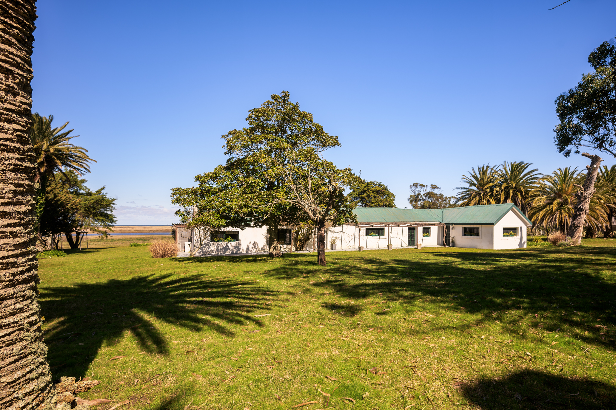  La Virazón  597-Hectare Oceanfront Estate in Rocha, Uruguay - 物件實景