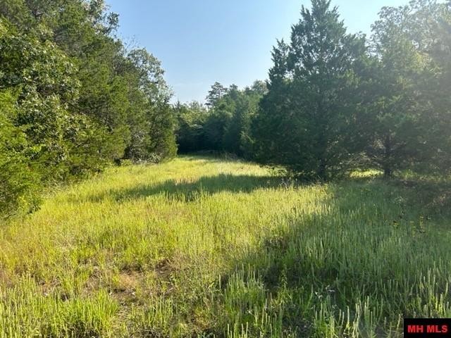 001-05276-003 INVERNESS DRIVE, Mountain Home, Arkansas, 72653, United States, ,Residential,For Sale,001-05276-003 INVERNESS DRIVE,1333567