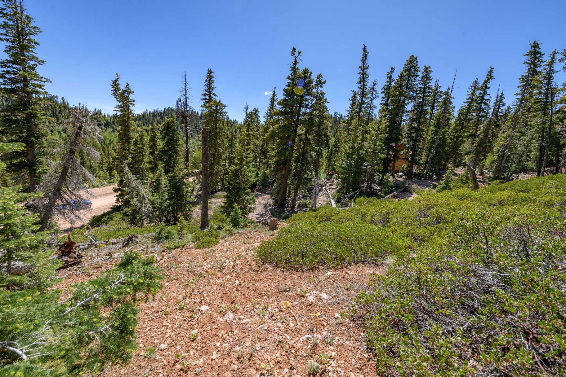  Quiet Mountain Retreat Near Navajo Lake - 物件實景