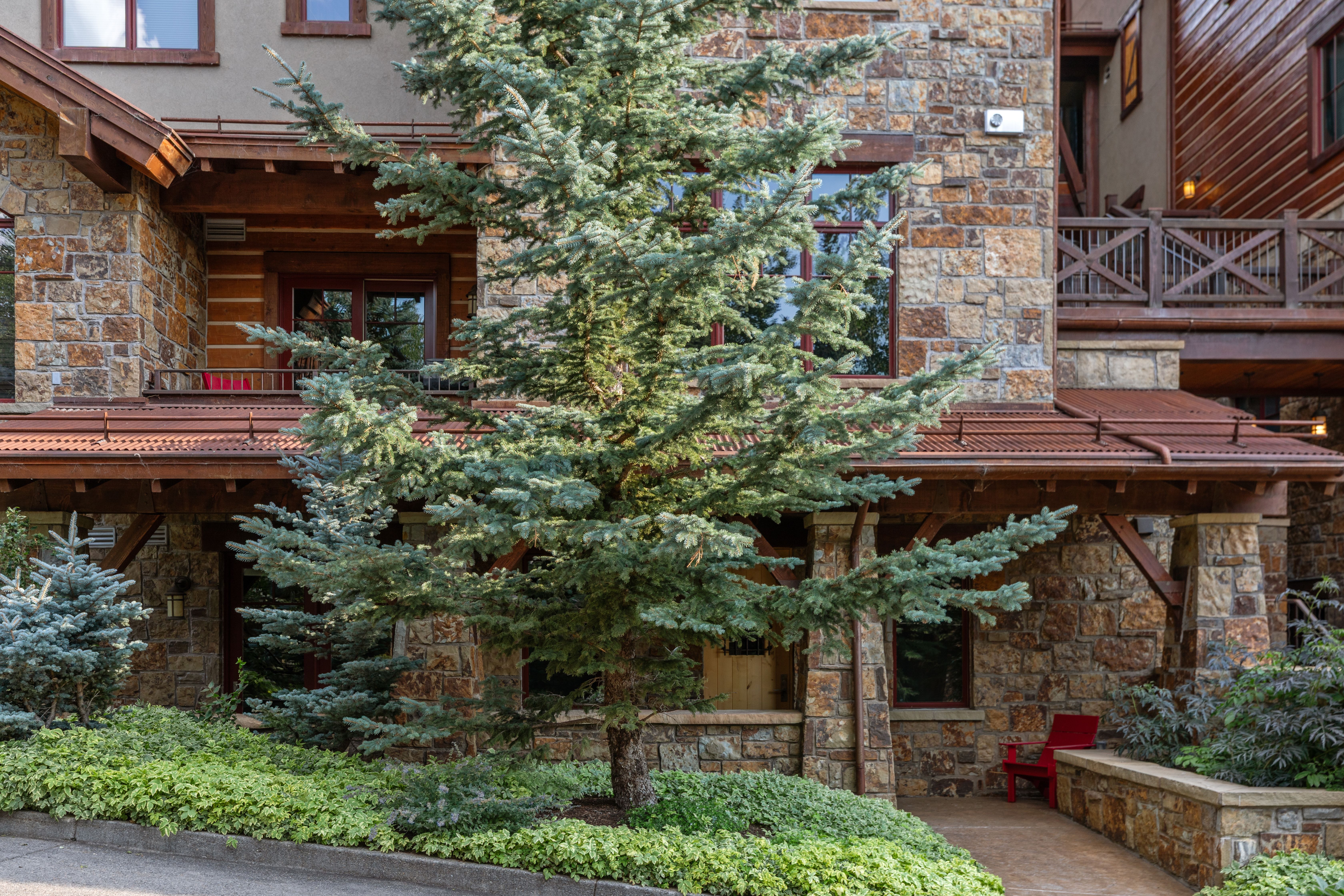  12 Elkstone Place, Mountain Village, CO, 81435 - 物件實景