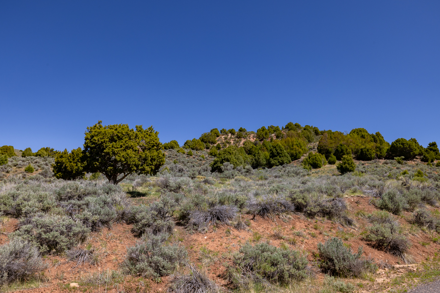 Lapoint, Utah, 84039, United States, ,Land,For Sale,1977386