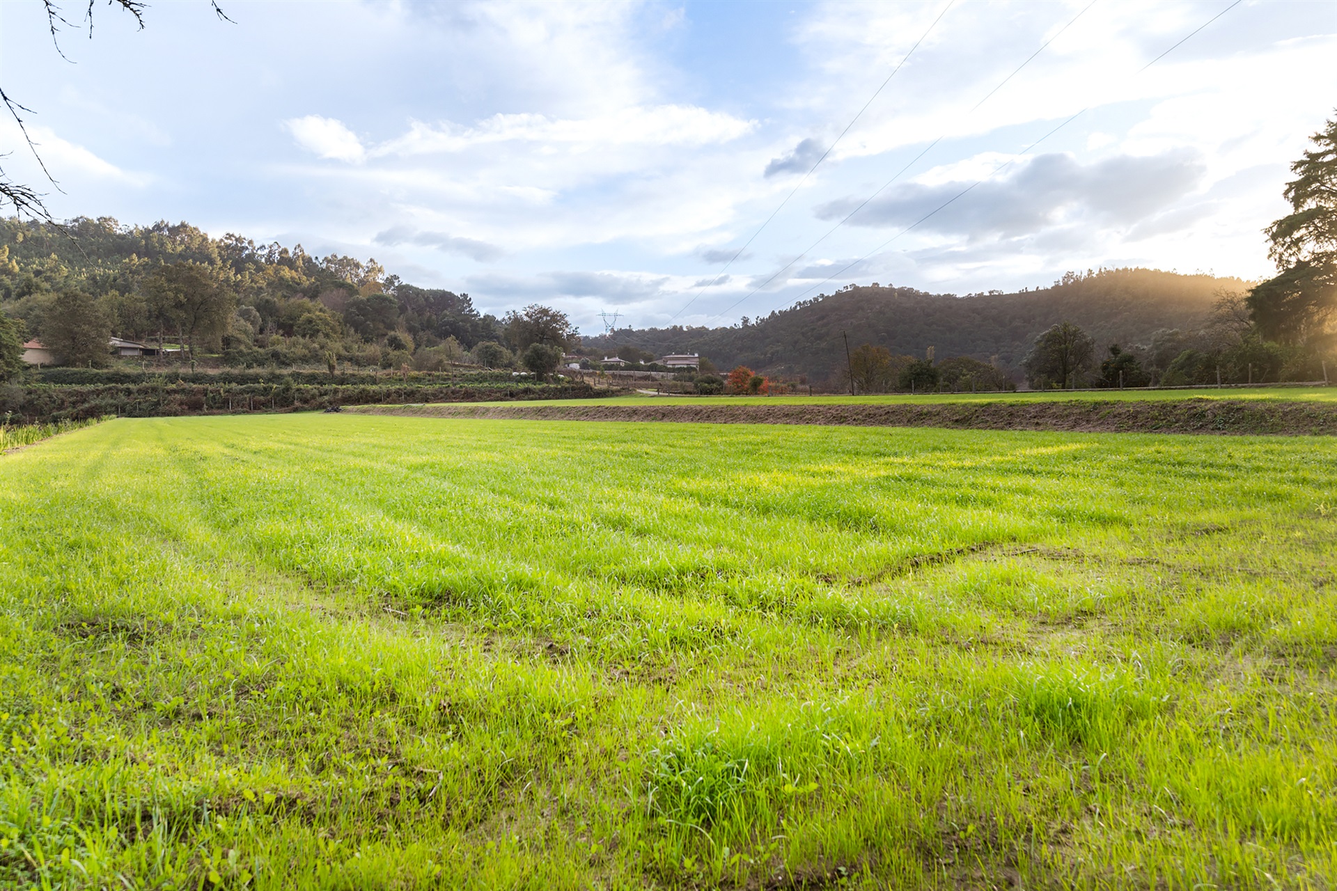  Farm, 6 bedrooms, for Sale - 物件實景