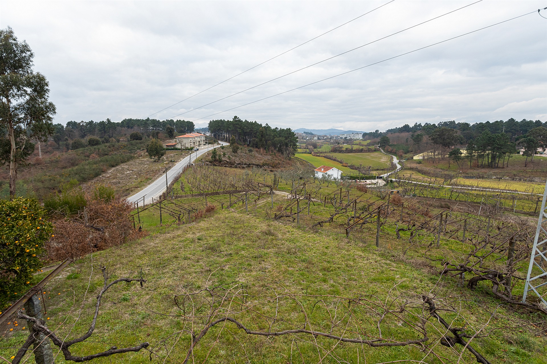  Small Farm, 4 bedrooms, for Sale - 物件實景