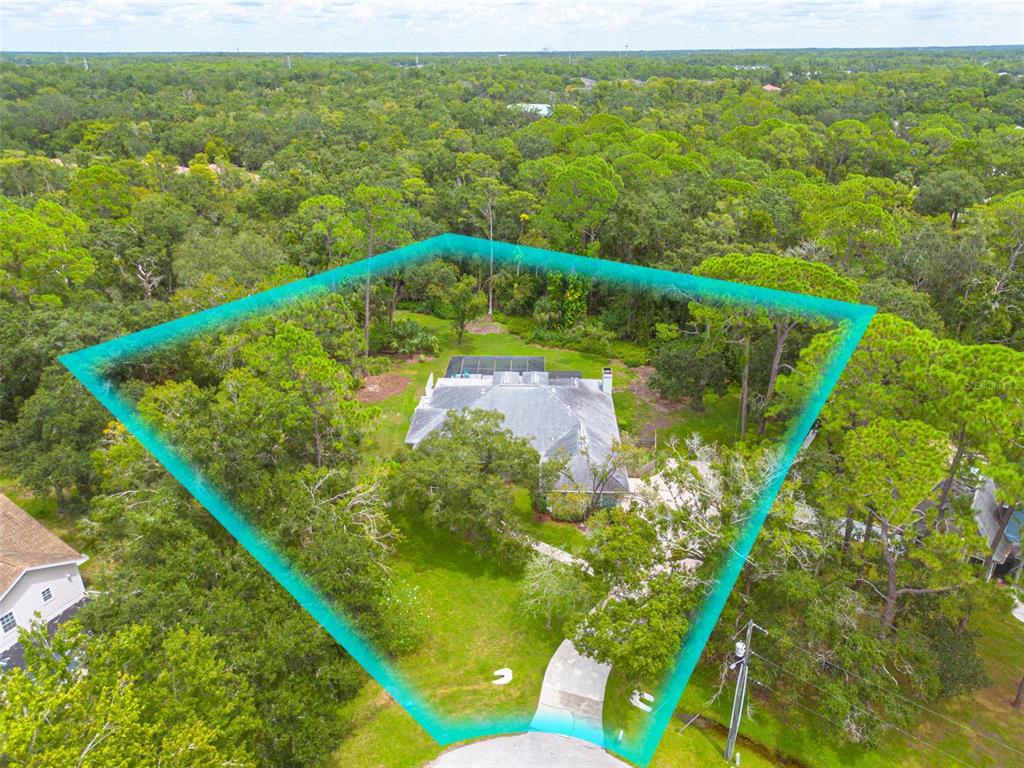 Tampa, Florida, 33626, United States, 5 Bedrooms Bedrooms, ,3 BathroomsBathrooms,Residential,For Sale,1941740