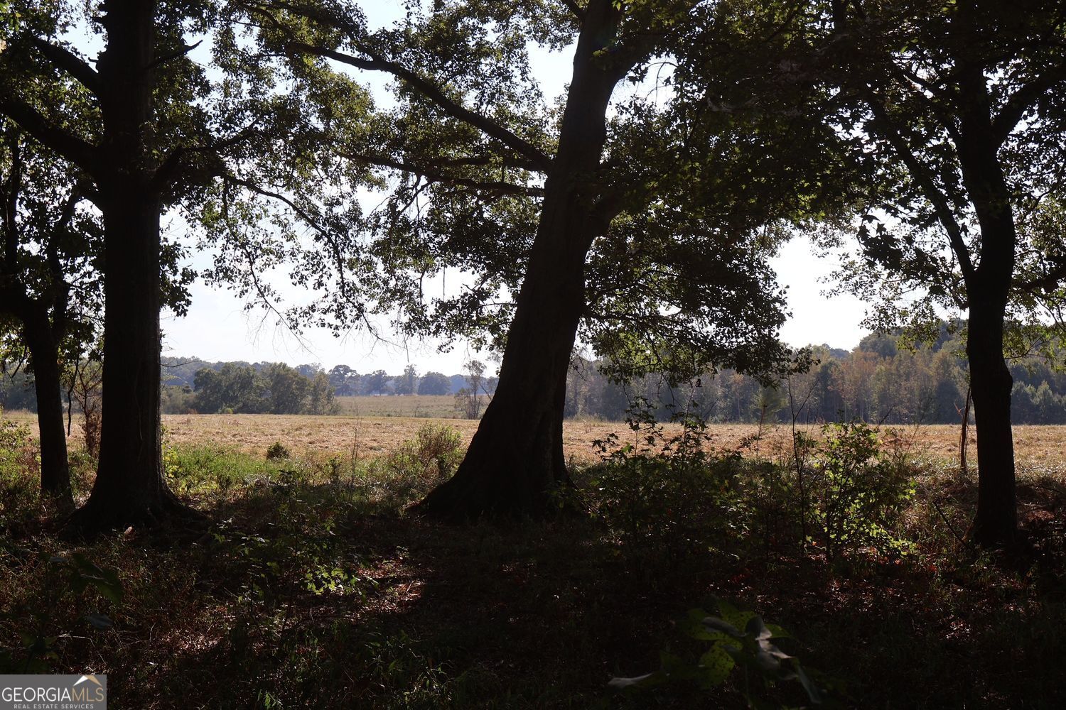 The Rock, Georgia, 30285, United States, ,Land,For Sale,1963371