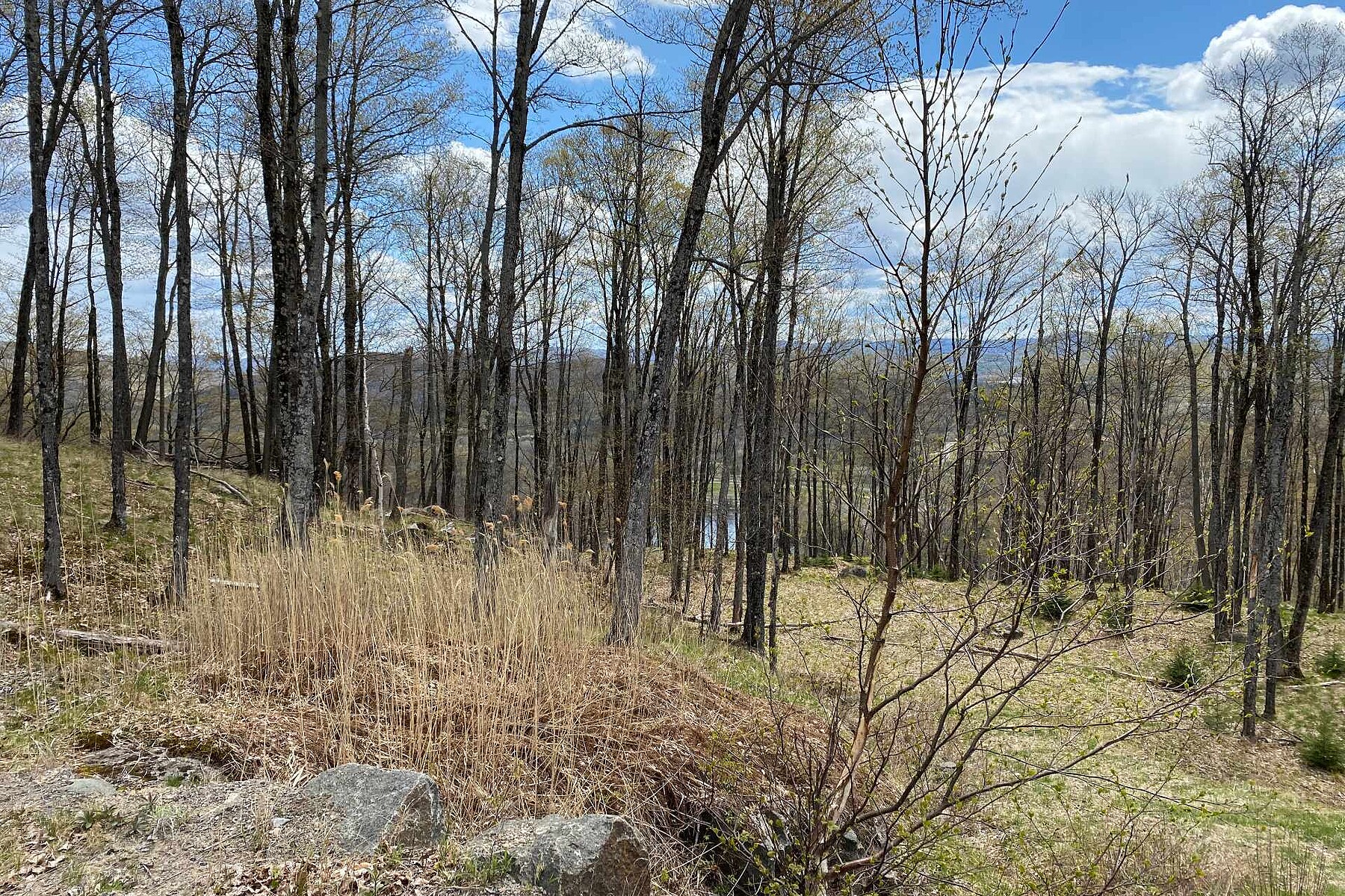  Mont-Tremblant, Laurentides - 物件實景